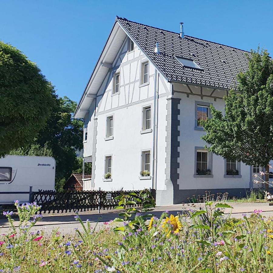 Apartment Kerbholz - zwischen Südschwarzwald und Schweiz Griessen Exterior foto