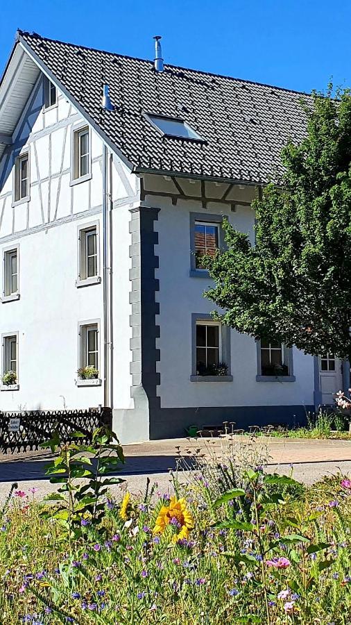 Apartment Kerbholz - zwischen Südschwarzwald und Schweiz Griessen Exterior foto